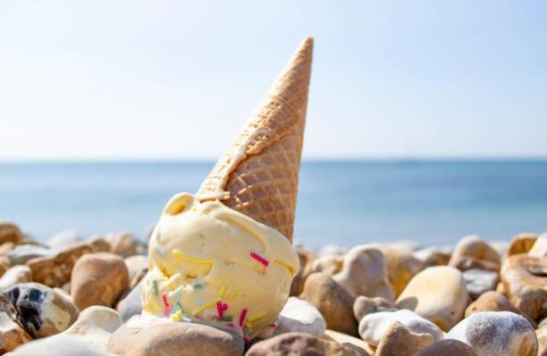 Dawlish Lawn View 아파트 외부 사진